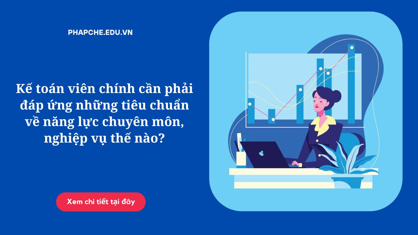 Kế toán viên chính cần phải đáp ứng những tiêu chuẩn về năng lực chuyên môn, nghiệp vụ thế nào?