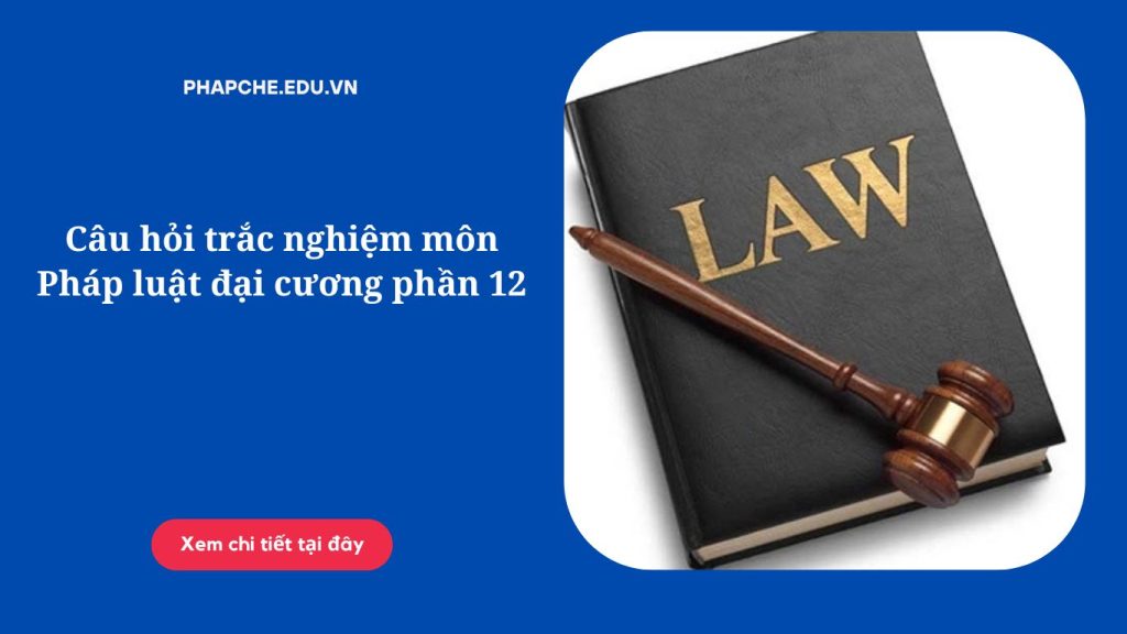Câu hỏi trắc nghiệm môn Pháp luật đại cương phần 12;