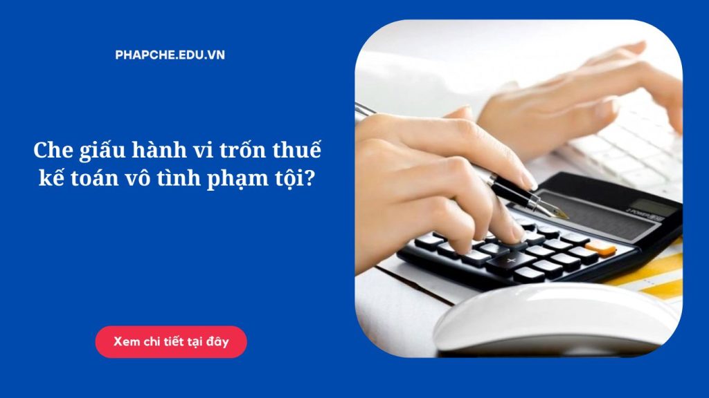 Che giấu hành vi trốn thuế kế toán vô tình phạm tội?