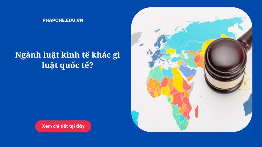 Ngành luật kinh tế khác gì luật quốc tế?