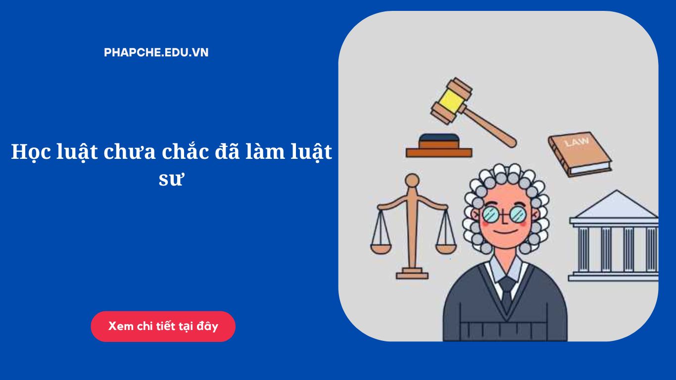Học luật chưa chắc đã làm luật sư