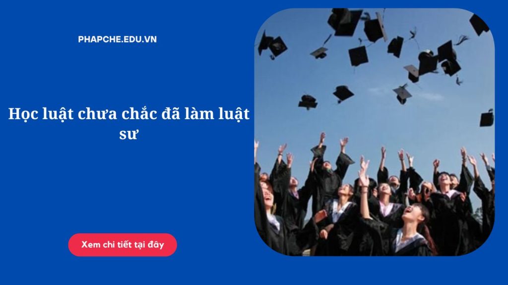Học luật chưa chắc đã làm luật sư
