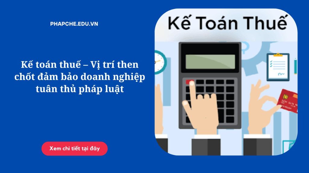 Kế toán thuế – Vị trí then chốt đảm bảo doanh nghiệp tuân thủ pháp luật