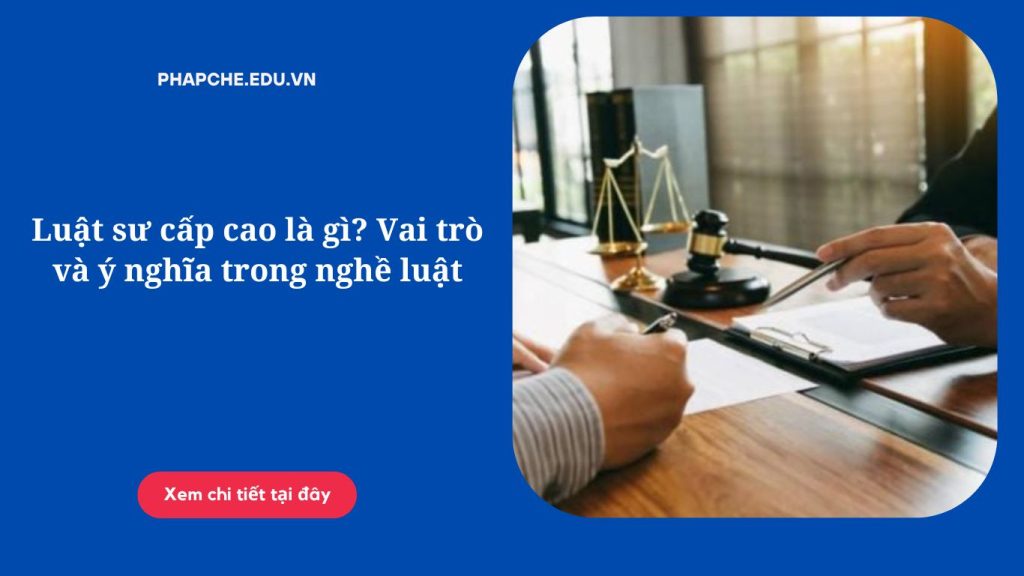 Luật sư cấp cao là gì? Vai trò và ý nghĩa trong nghề luật