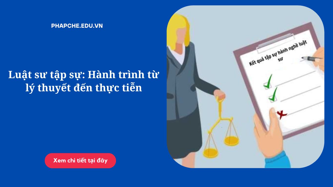 Luật sư tập sự: Hành trình từ lý thuyết đến thực tiễn