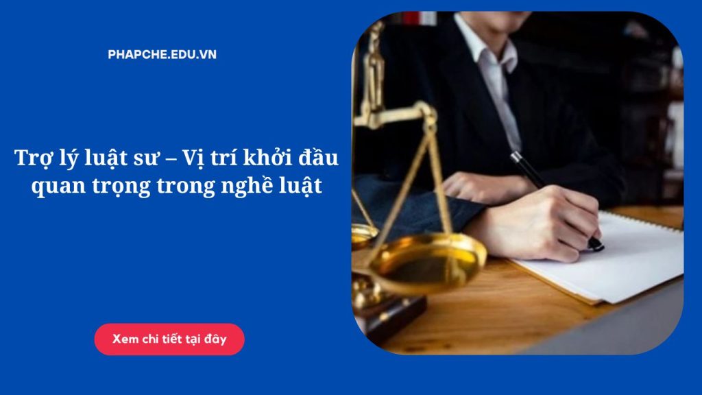 Trợ lý luật sư – Vị trí khởi đầu quan trọng trong nghề luật