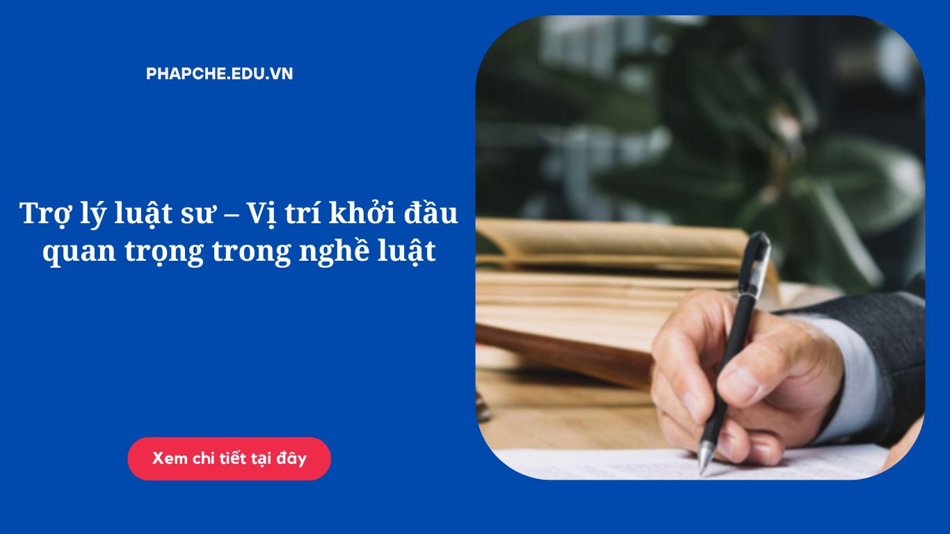 Trợ lý luật sư – Vị trí khởi đầu quan trọng trong nghề luật