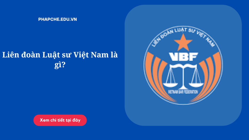lien-doan-luat-su-viet-nam-la-gi