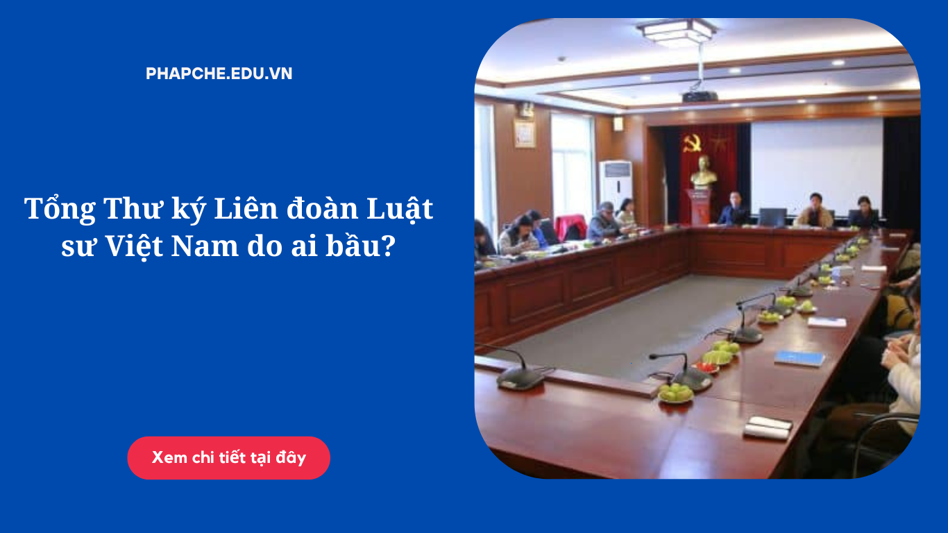 tong-thu-ky-lien-doan-luat-su-viet-nam-do-ai-bau