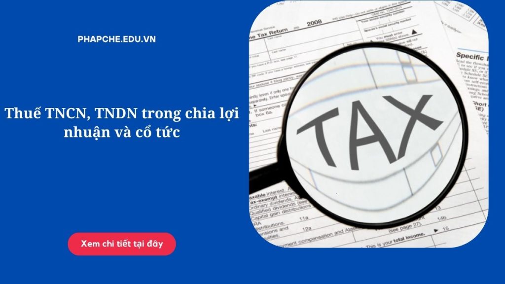 Thuế TNCN, TNDN trong chia lợi nhuận và cổ tức