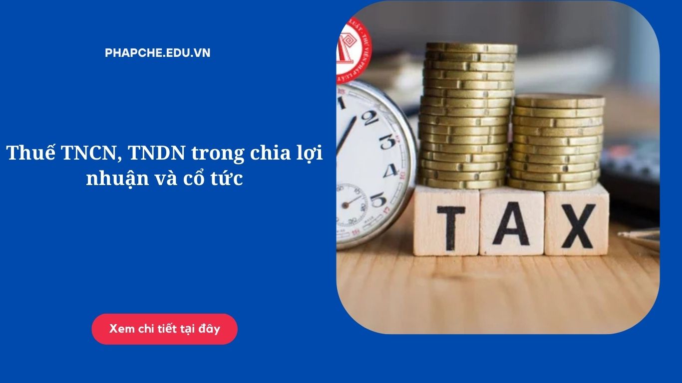 Thuế TNCN, TNDN trong chia lợi nhuận và cổ tức
