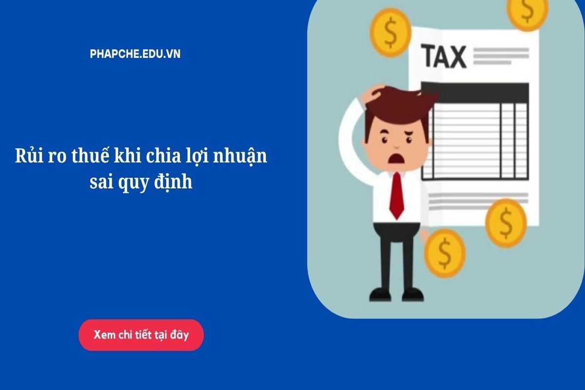 Rủi ro thuế khi chia lợi nhuận sai quy định