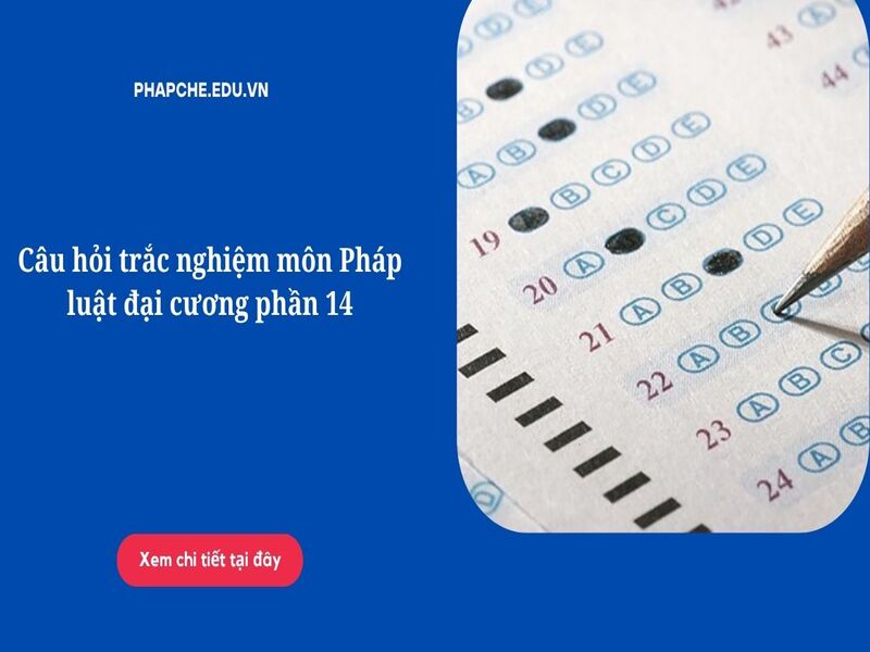 30 câu hỏi trắc nghiệm môn Pháp luật đại cương phần 14