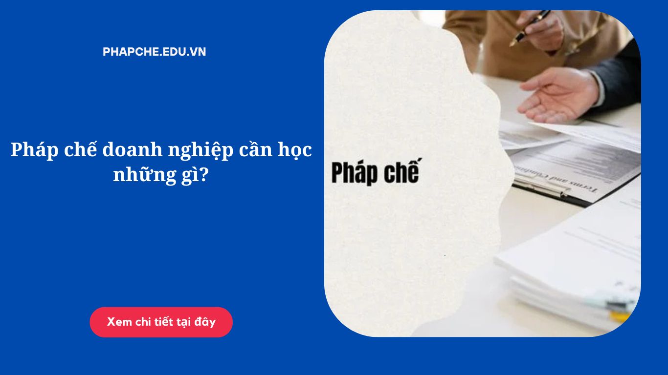 Pháp chế doanh nghiệp cần học những gì? Lộ trình thực tế