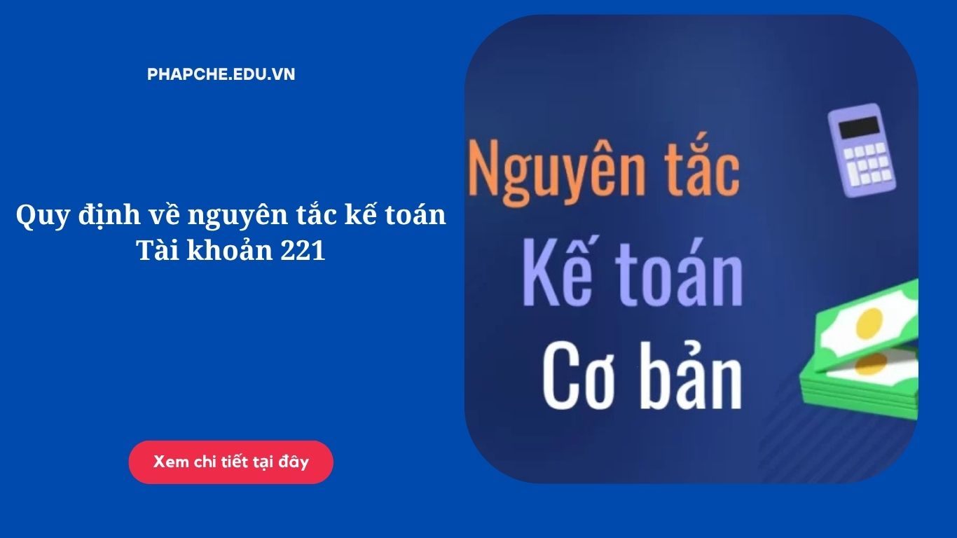 Quy định về nguyên tắc kế toán Tài khoản 221