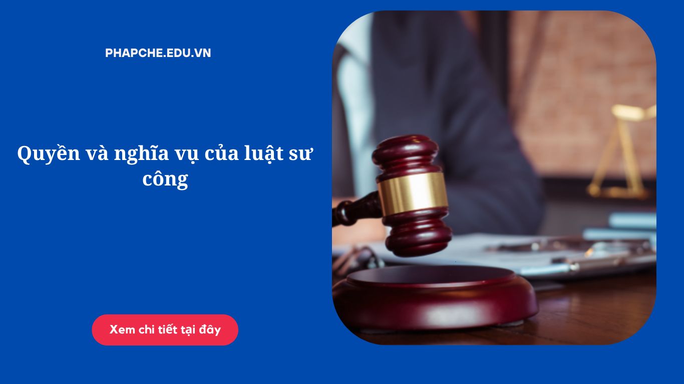 Quyền và nghĩa vụ của luật sư công